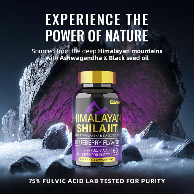Himalayan Shilajit Gummies bottle with mountainous backdrop, blueberry flavor, highlighting natural wellness benefits.