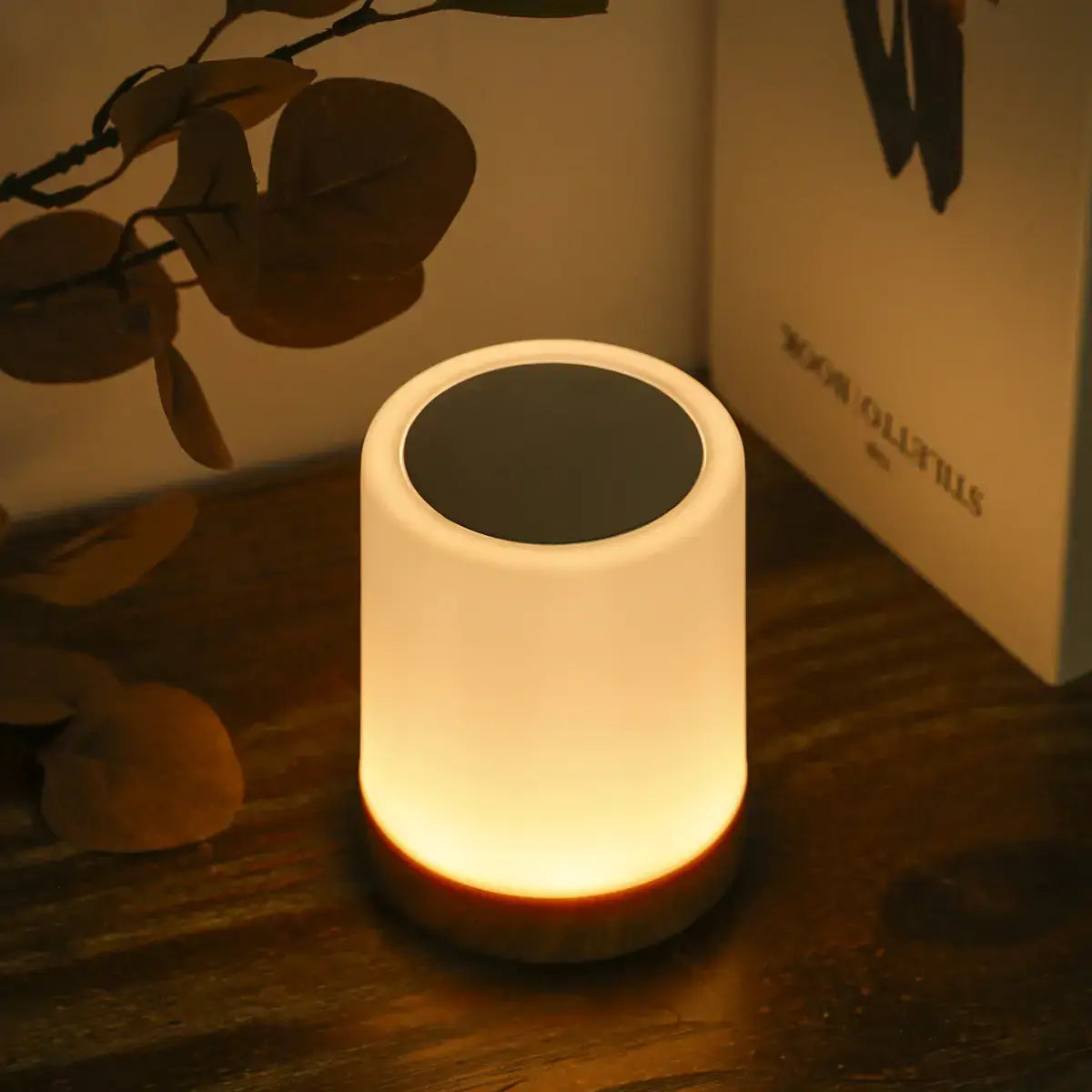 Customizable LED bedside light, multiple colors, brightness settings, built-in battery, intuitive touch controls.