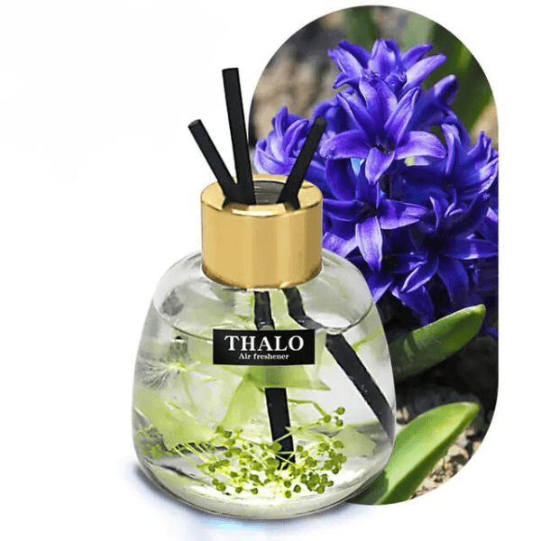 Fireless Aromatherapy Oil Glass Bottle with dried flower rattan diffuser for safe, stylish air purification and aromatherapy.